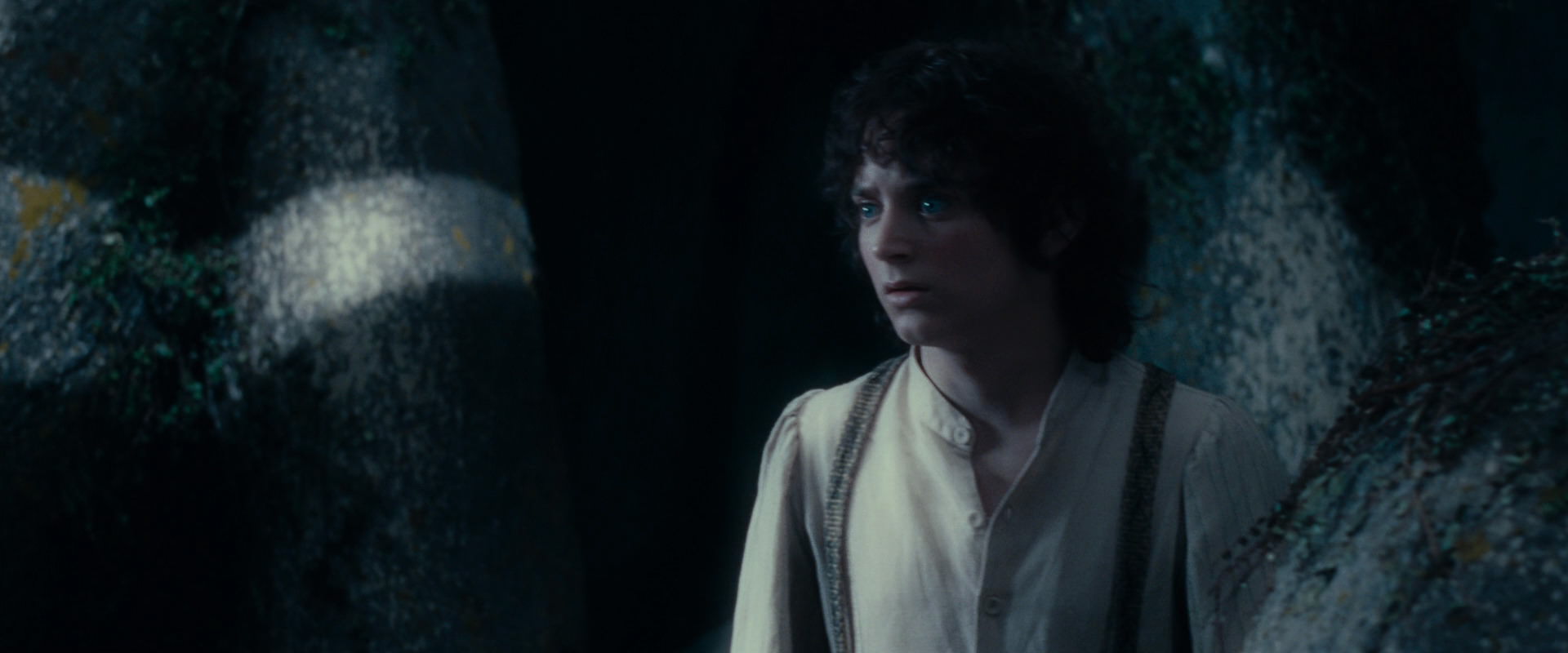 The Lord of the Rings: The Fellowship of the Ring (2001) screencap 19005
