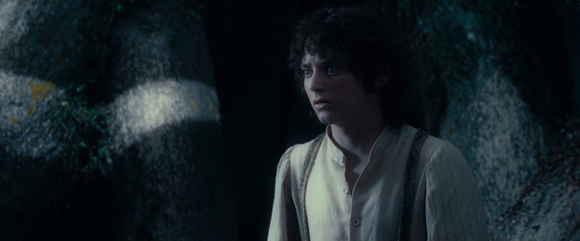 The Lord of the Rings: The Fellowship of the Ring (2001) movie still 19006