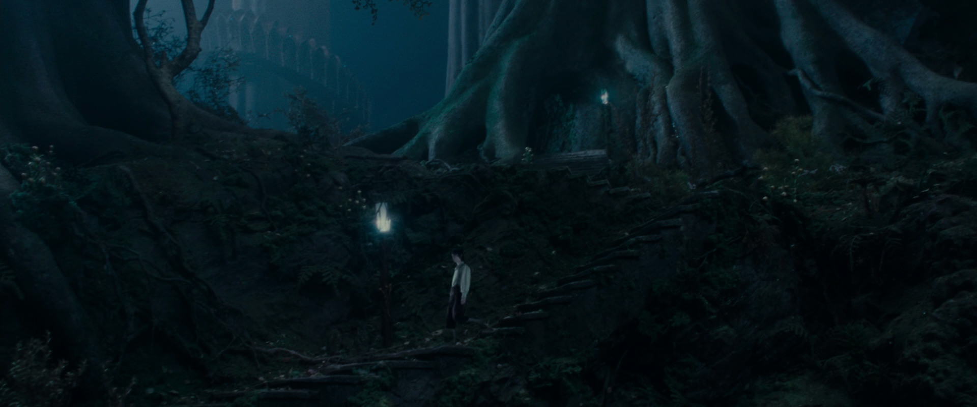 The Lord of the Rings: The Fellowship of the Ring (2001) HD screenshot 19013