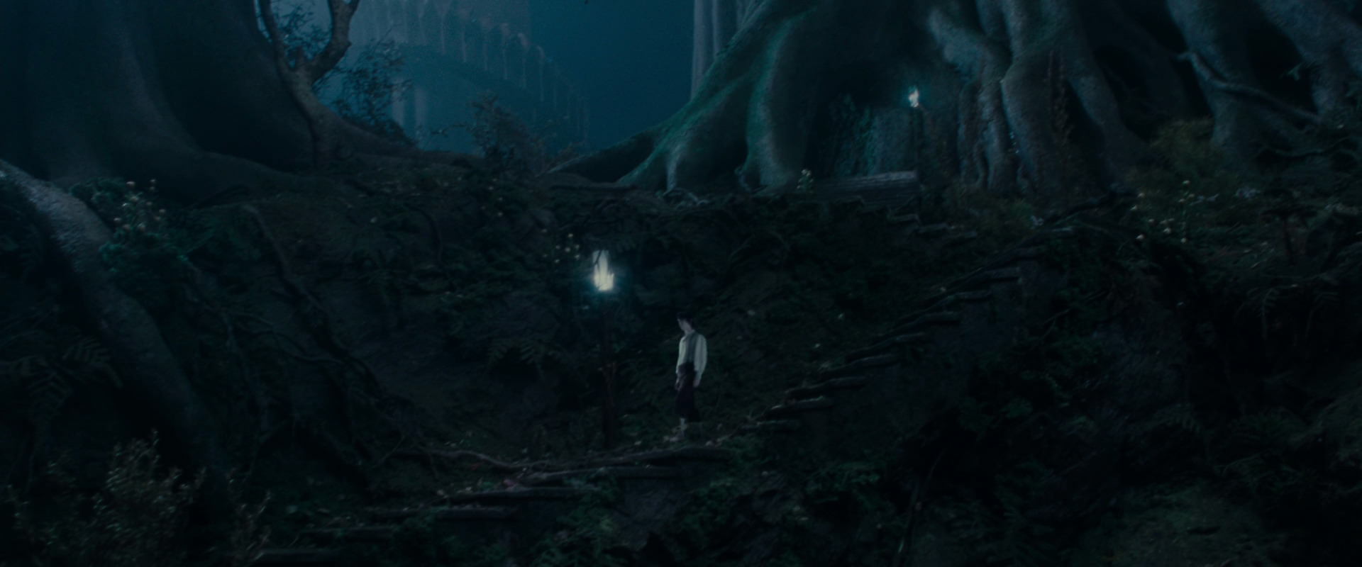 The Lord of the Rings: The Fellowship of the Ring (2001) screencap 19014