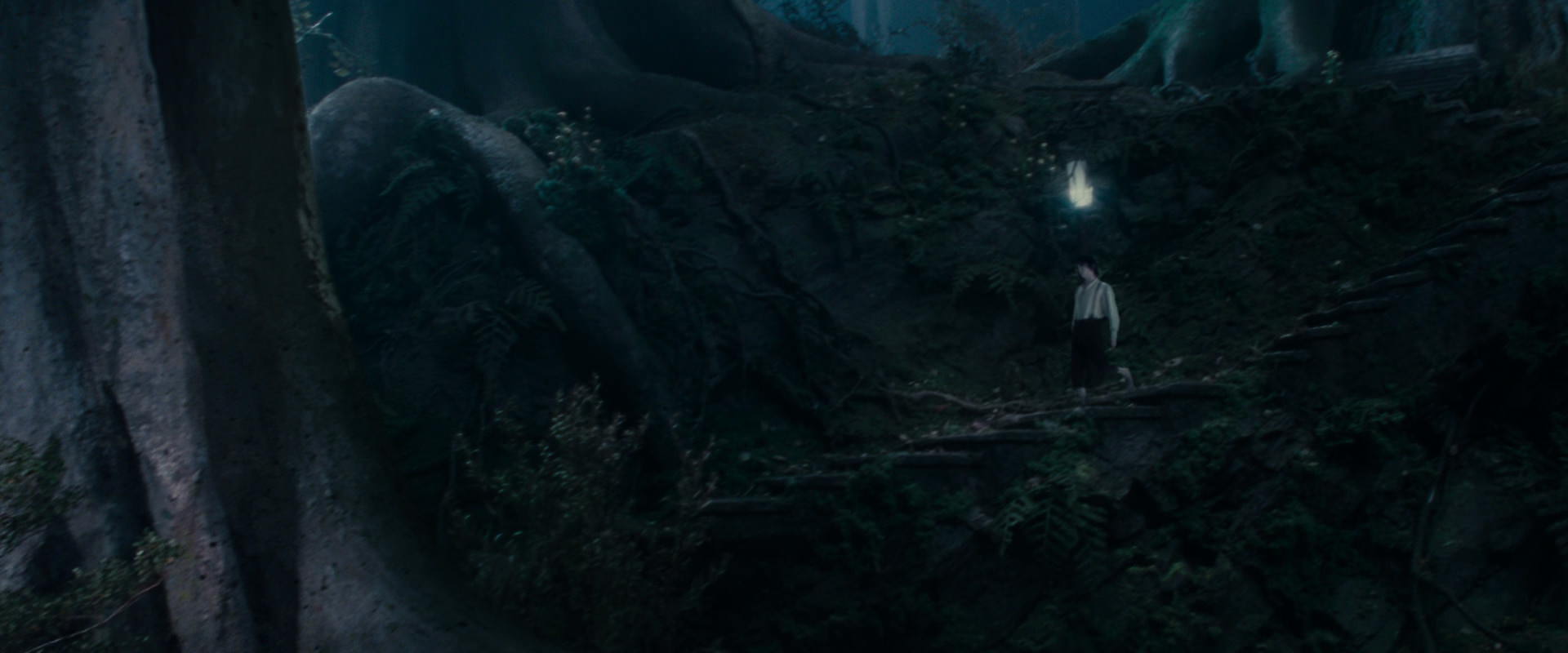 The Lord of the Rings: The Fellowship of the Ring (2001) screencap 19017