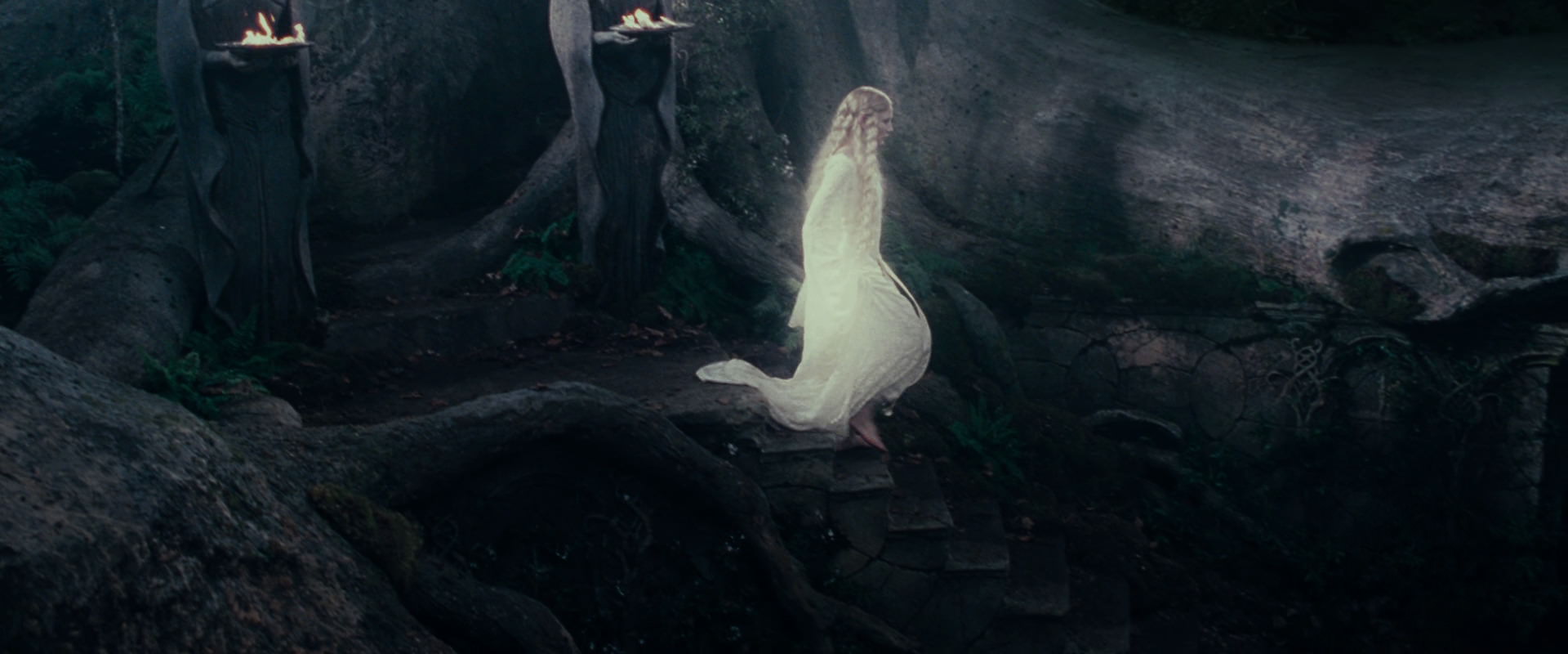 The Lord of the Rings: The Fellowship of the Ring (2001) screencap 19032