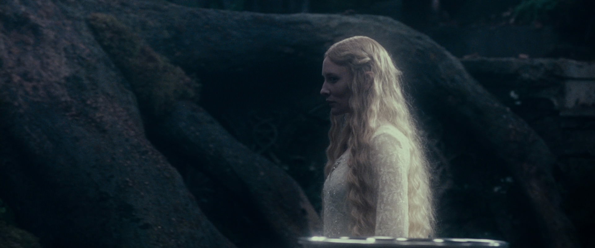 The Lord of the Rings: The Fellowship of the Ring (2001) movie still 19060