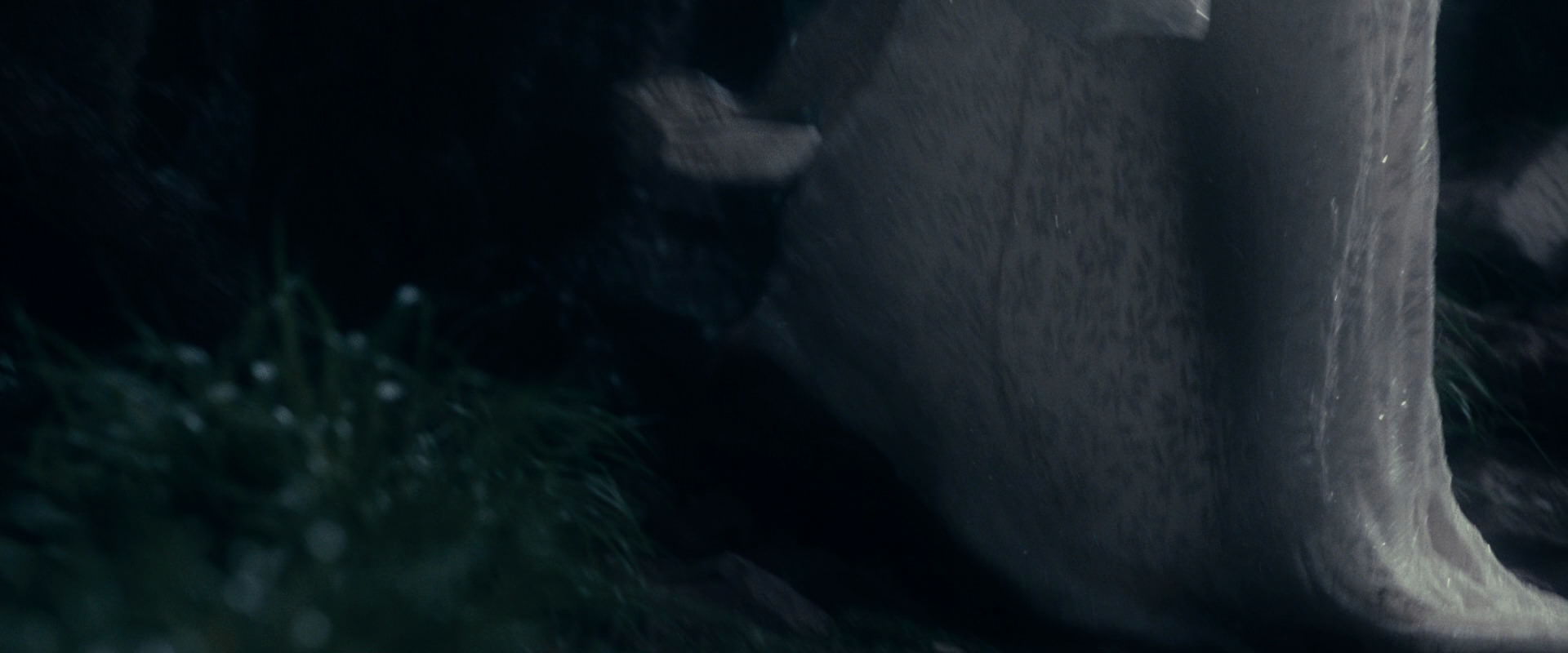 The Lord of the Rings: The Fellowship of the Ring (2001) screencap 19065
