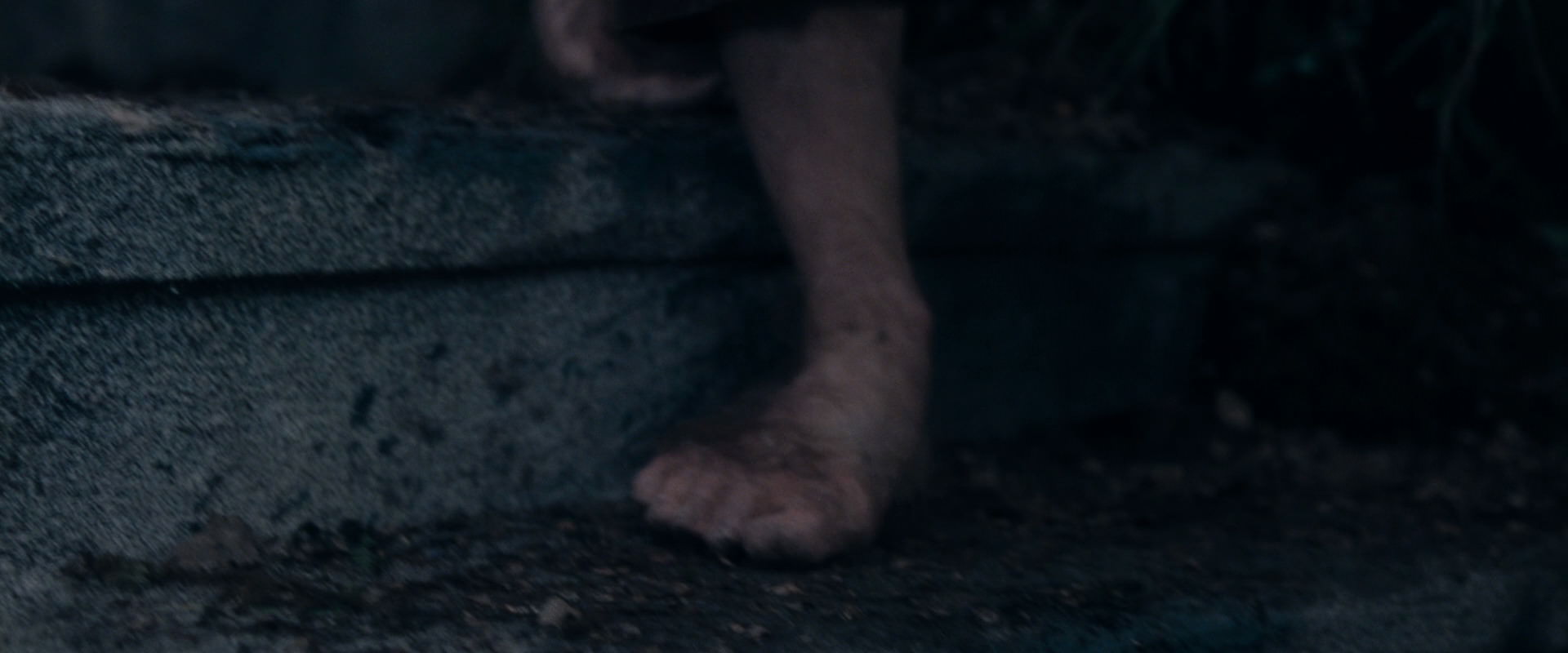 The Lord of the Rings: The Fellowship of the Ring (2001) HD screenshot 19076