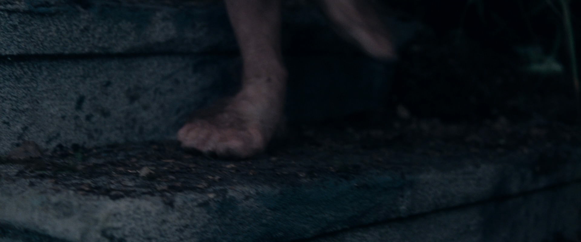 The Lord of the Rings: The Fellowship of the Ring (2001) screencap 19077