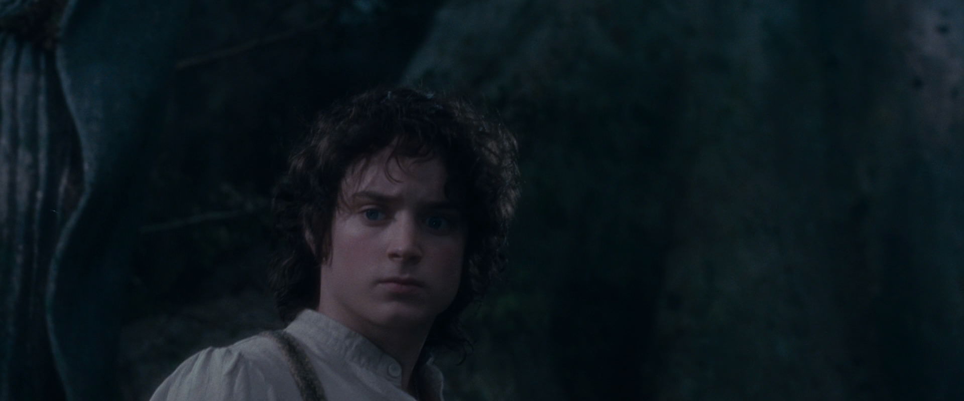 The Lord of the Rings: The Fellowship of the Ring (2001) screencap 19080