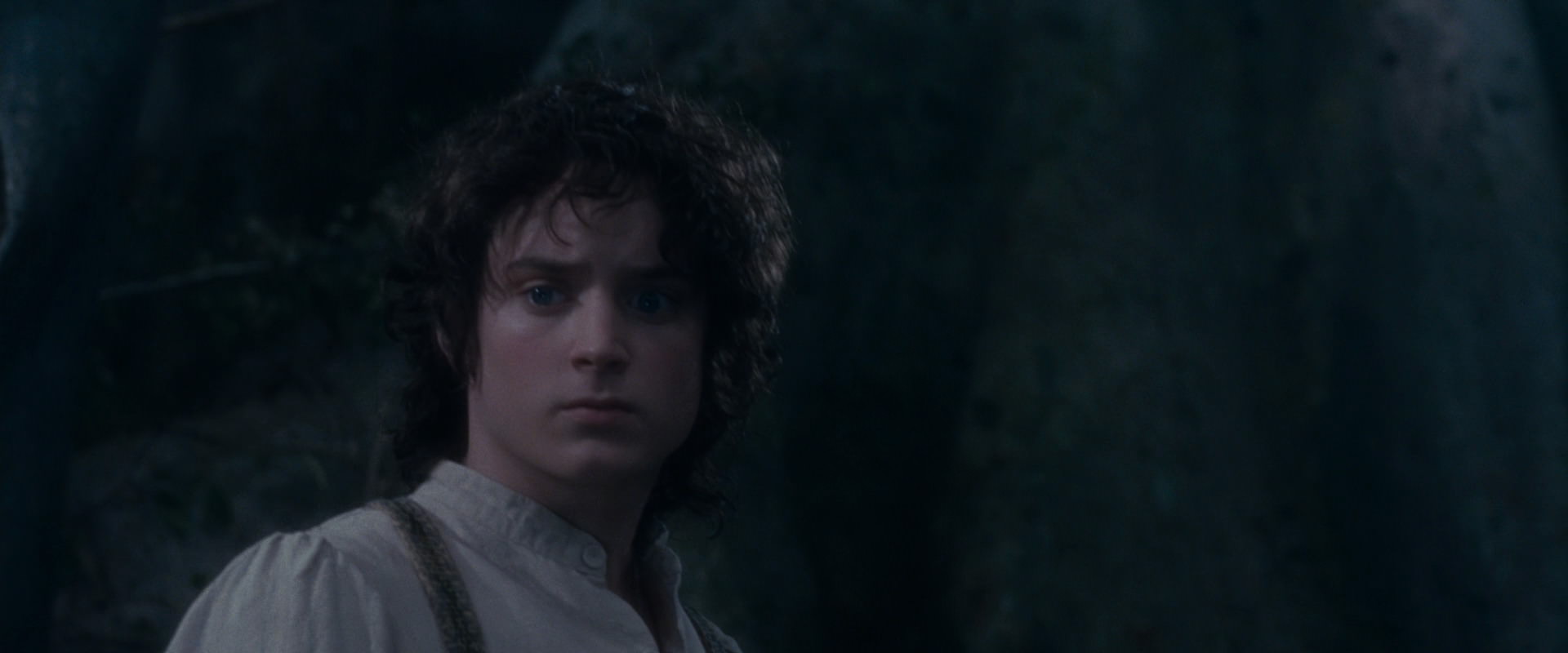 The Lord of the Rings: The Fellowship of the Ring (2001) movie still 19081