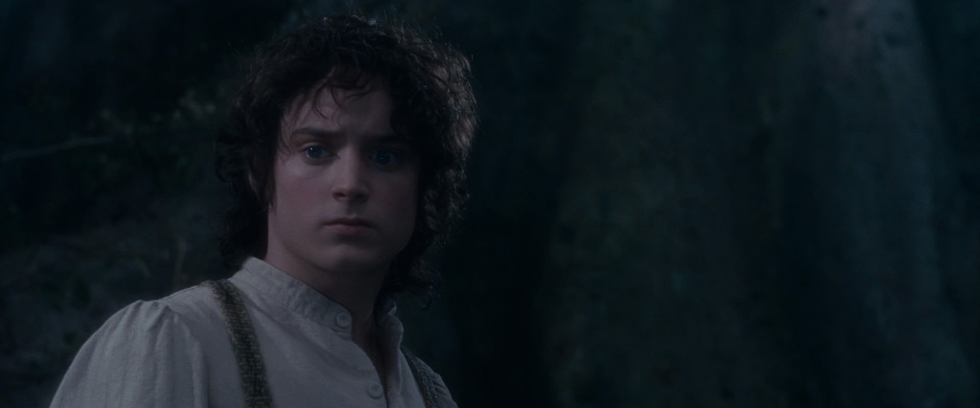 The Lord of the Rings: The Fellowship of the Ring (2001) HD screenshot 19082