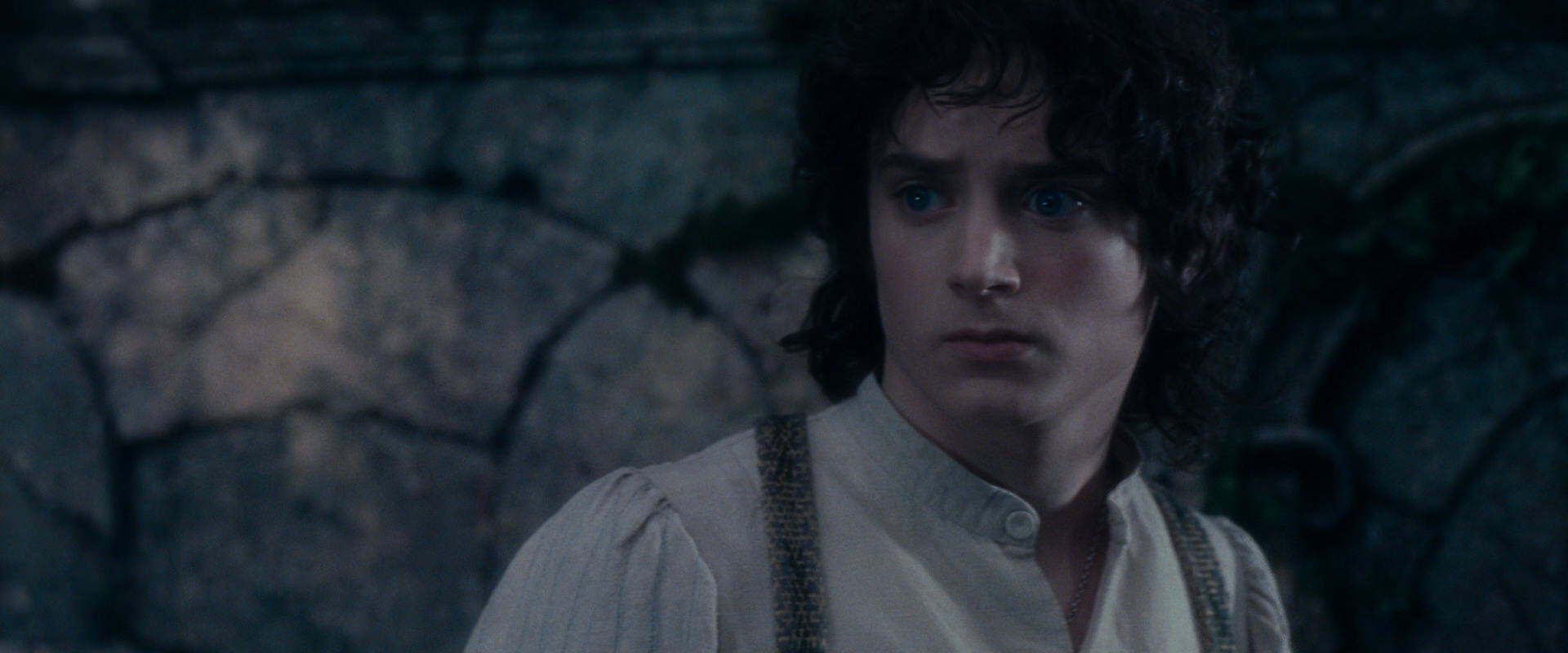 The Lord of the Rings: The Fellowship of the Ring (2001) HD screenshot 19097