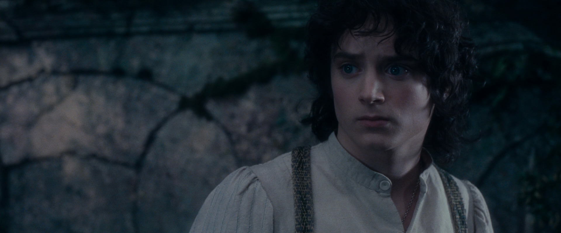 The Lord of the Rings: The Fellowship of the Ring (2001) screencap 19098