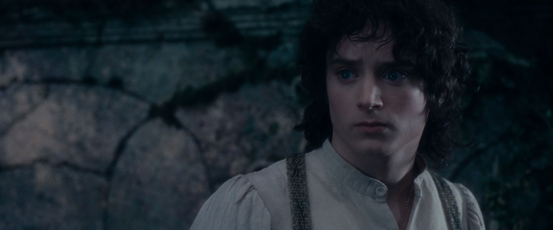 The Lord of the Rings: The Fellowship of the Ring (2001) movie still 19099