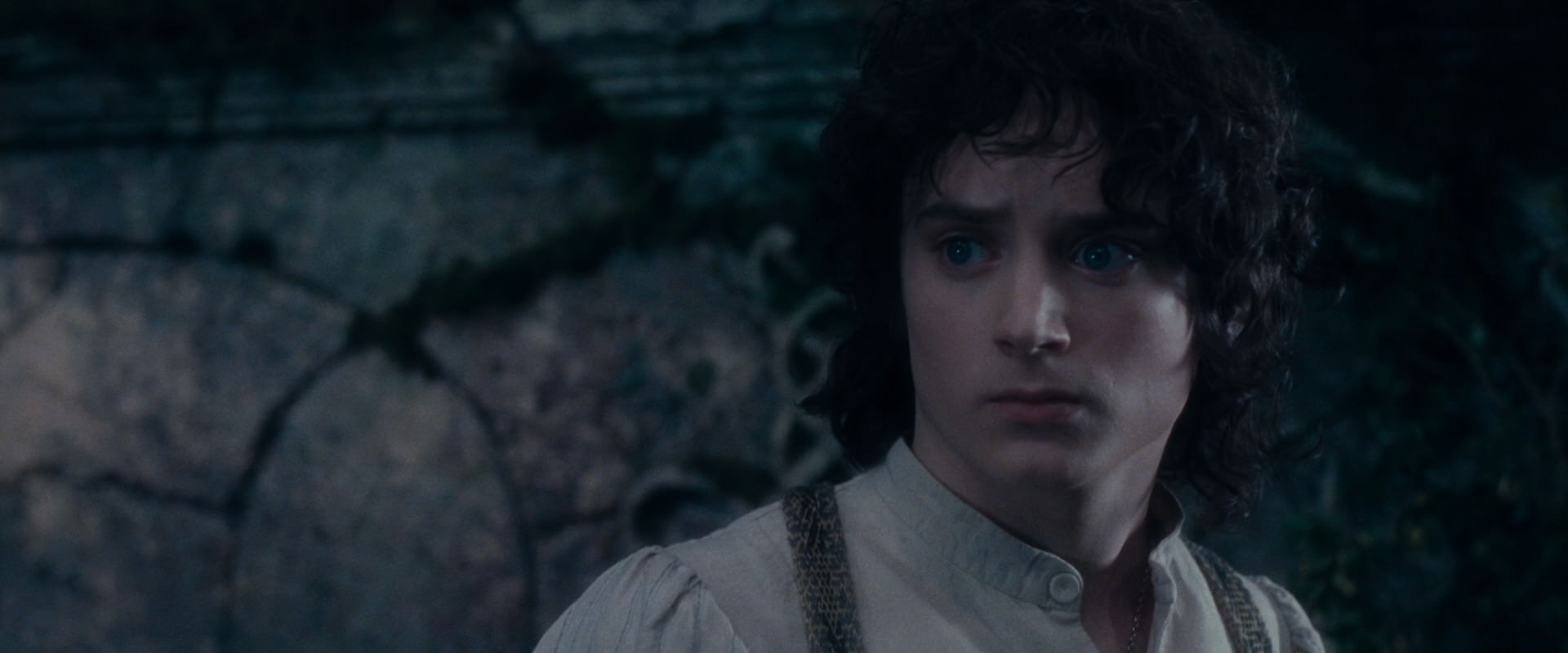 The Lord of the Rings: The Fellowship of the Ring (2001) HD screenshot 19100