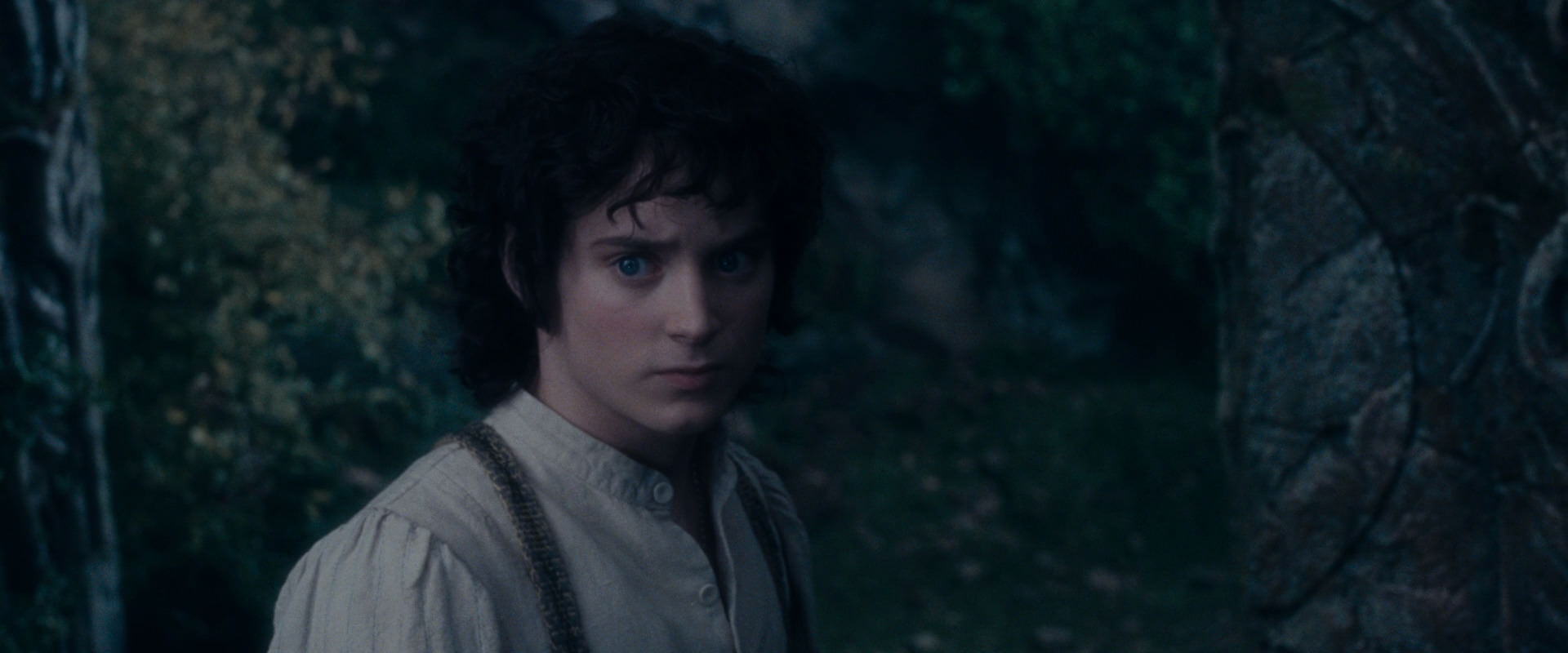 The Lord of the Rings: The Fellowship of the Ring (2001) screencap 19107