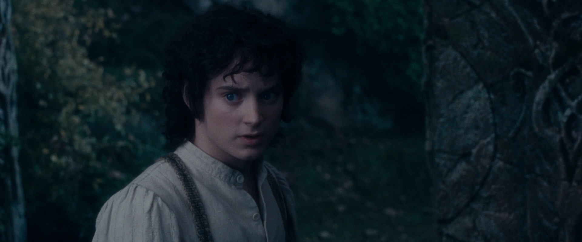 The Lord of the Rings: The Fellowship of the Ring (2001) movie still 19108