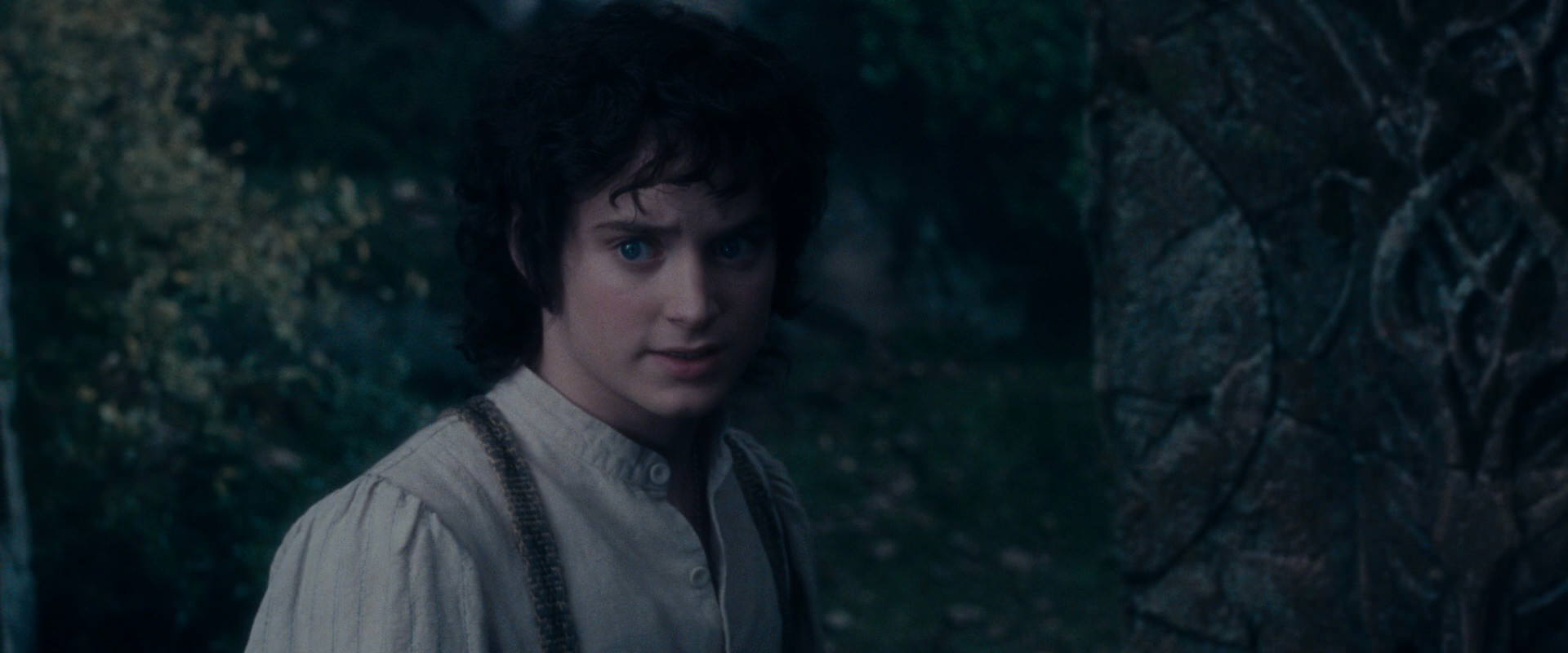The Lord of the Rings: The Fellowship of the Ring (2001) HD screenshot 19109