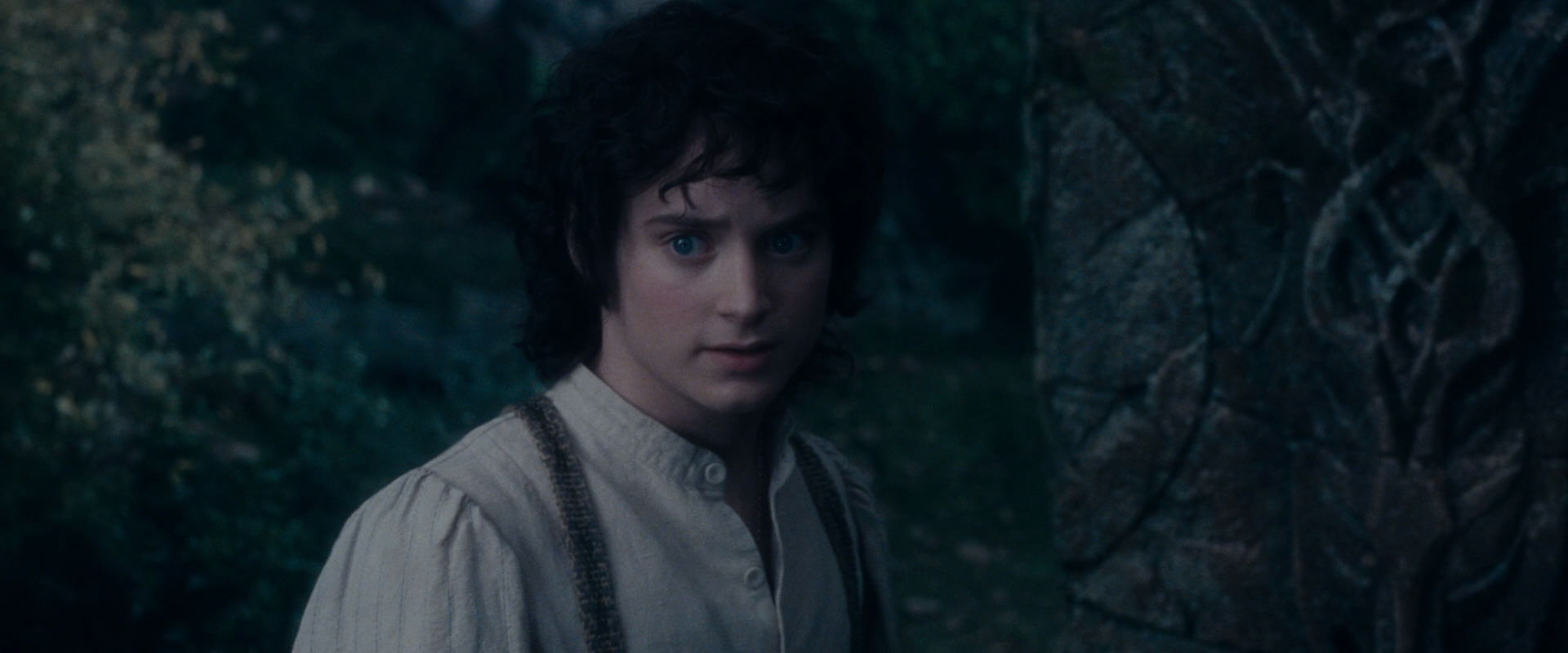 The Lord of the Rings: The Fellowship of the Ring (2001) screencap 19110