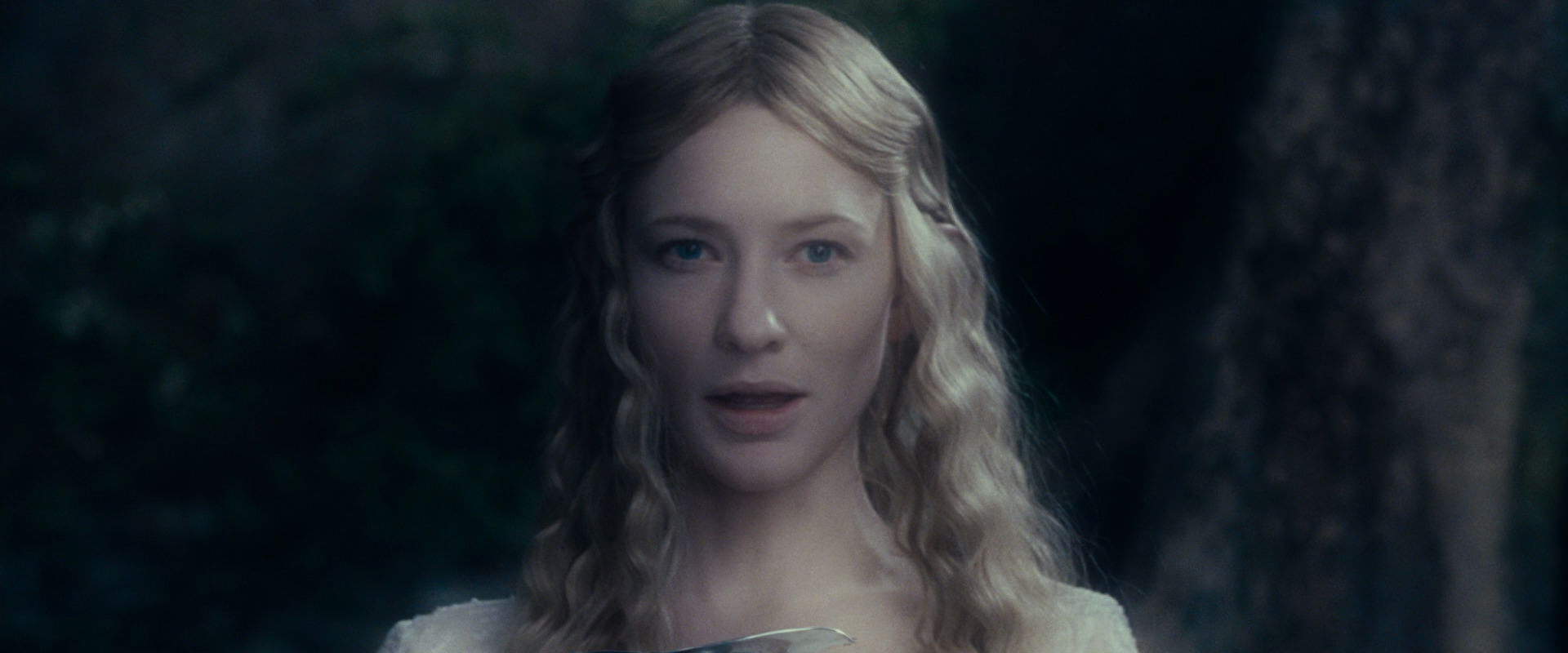The Lord of the Rings: The Fellowship of the Ring (2001) screencap 19119