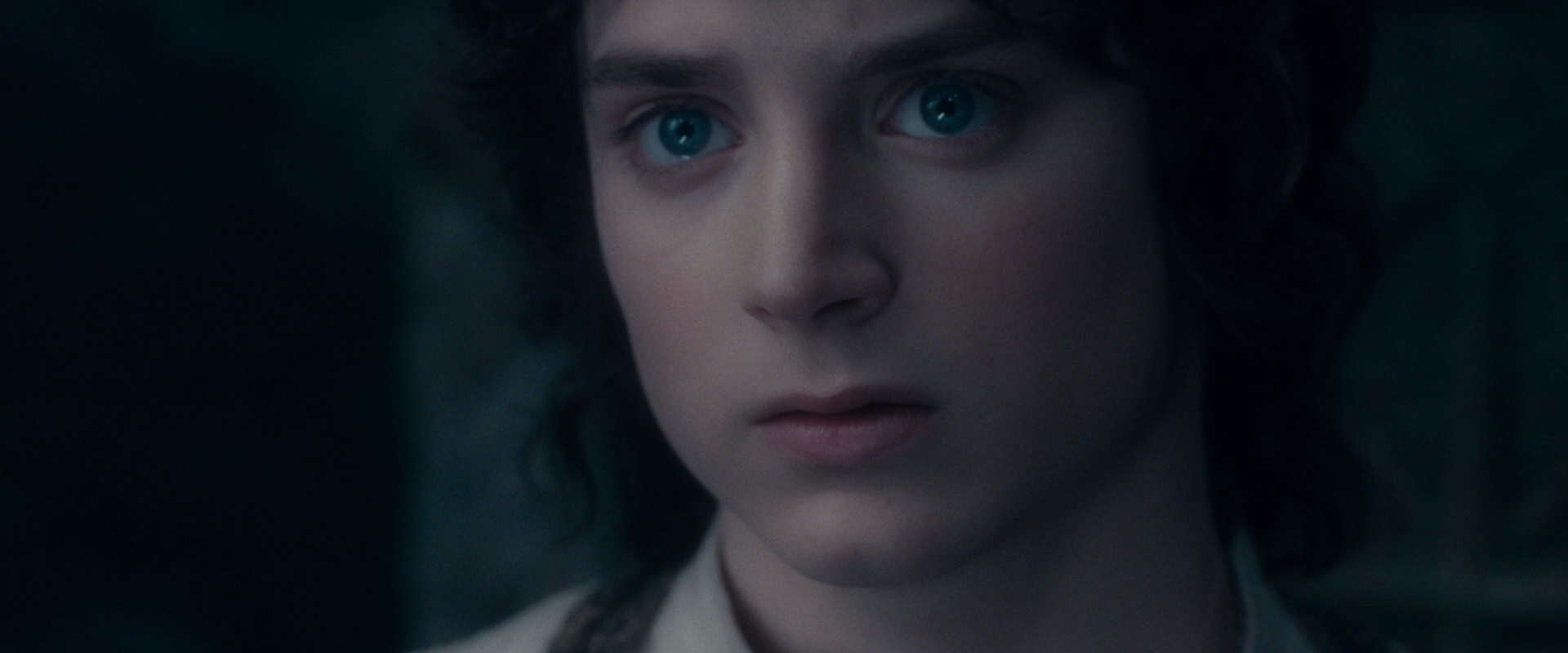 The Lord of the Rings: The Fellowship of the Ring (2001) screencap 19149