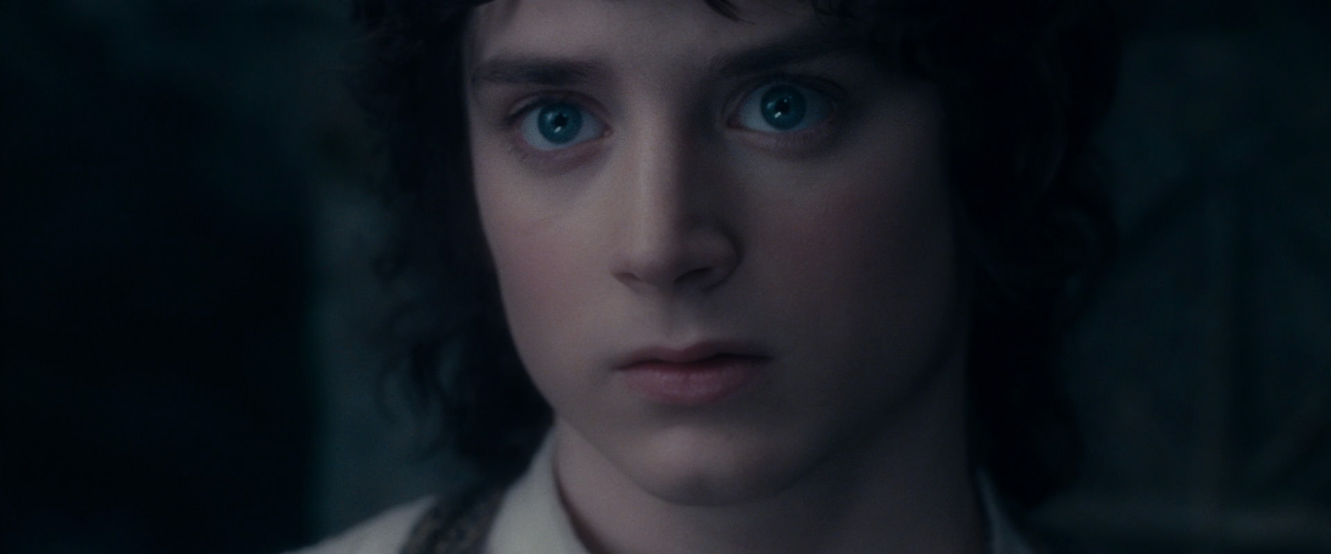 The Lord of the Rings: The Fellowship of the Ring (2001) screencap 19167