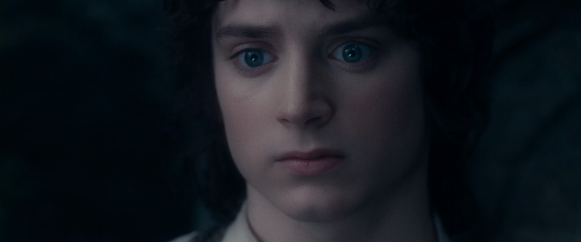 The Lord of the Rings: The Fellowship of the Ring (2001) screencap 19173
