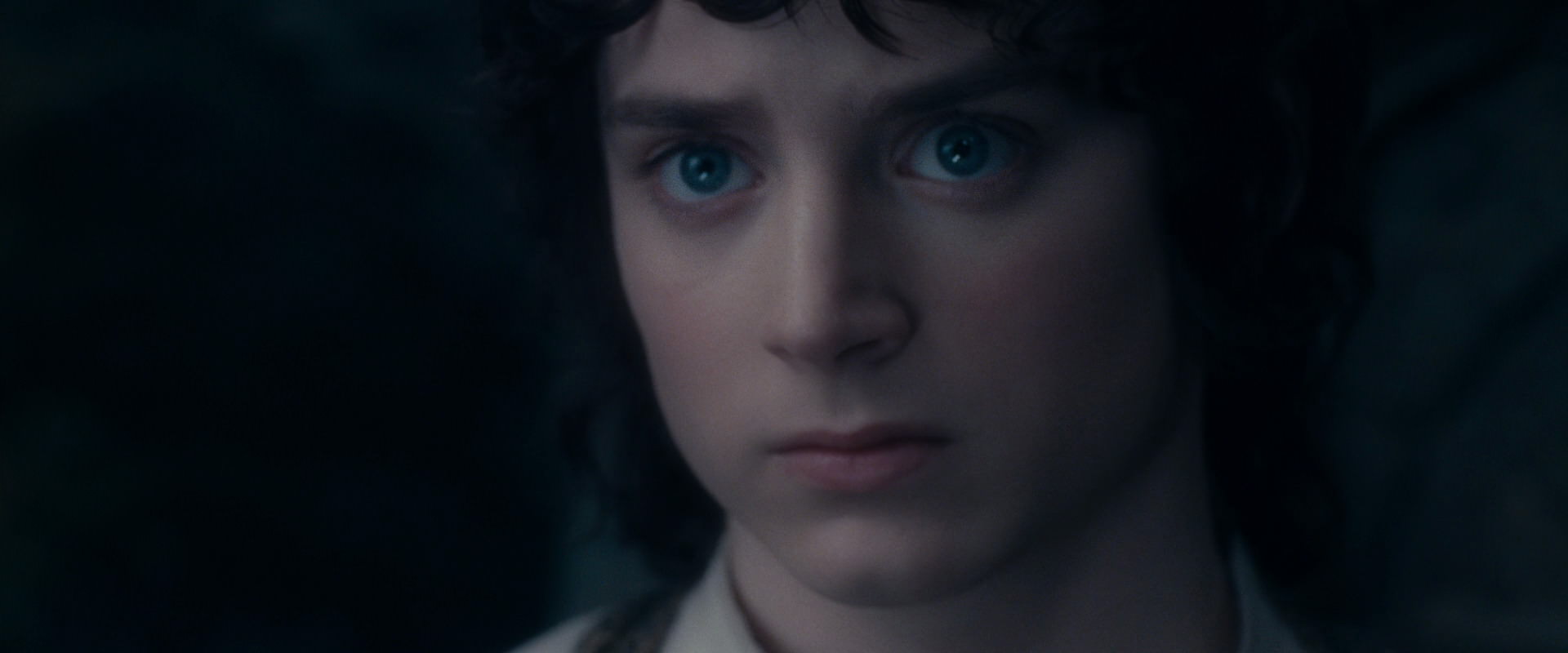 The Lord of the Rings: The Fellowship of the Ring (2001) screencap 19176