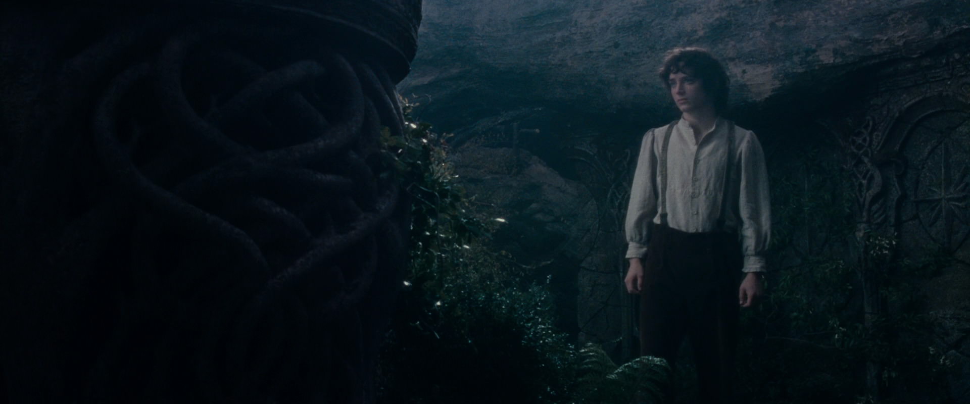 The Lord of the Rings: The Fellowship of the Ring (2001) screencap 19179
