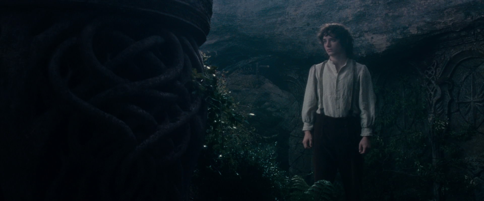The Lord of the Rings: The Fellowship of the Ring (2001) movie still 19180