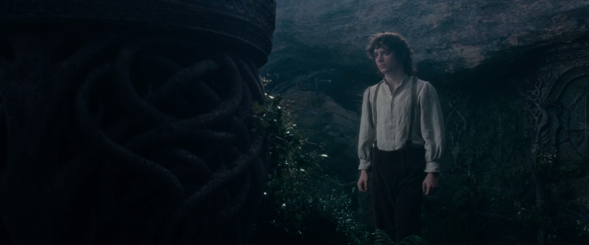 The Lord of the Rings: The Fellowship of the Ring (2001) screencap 19182
