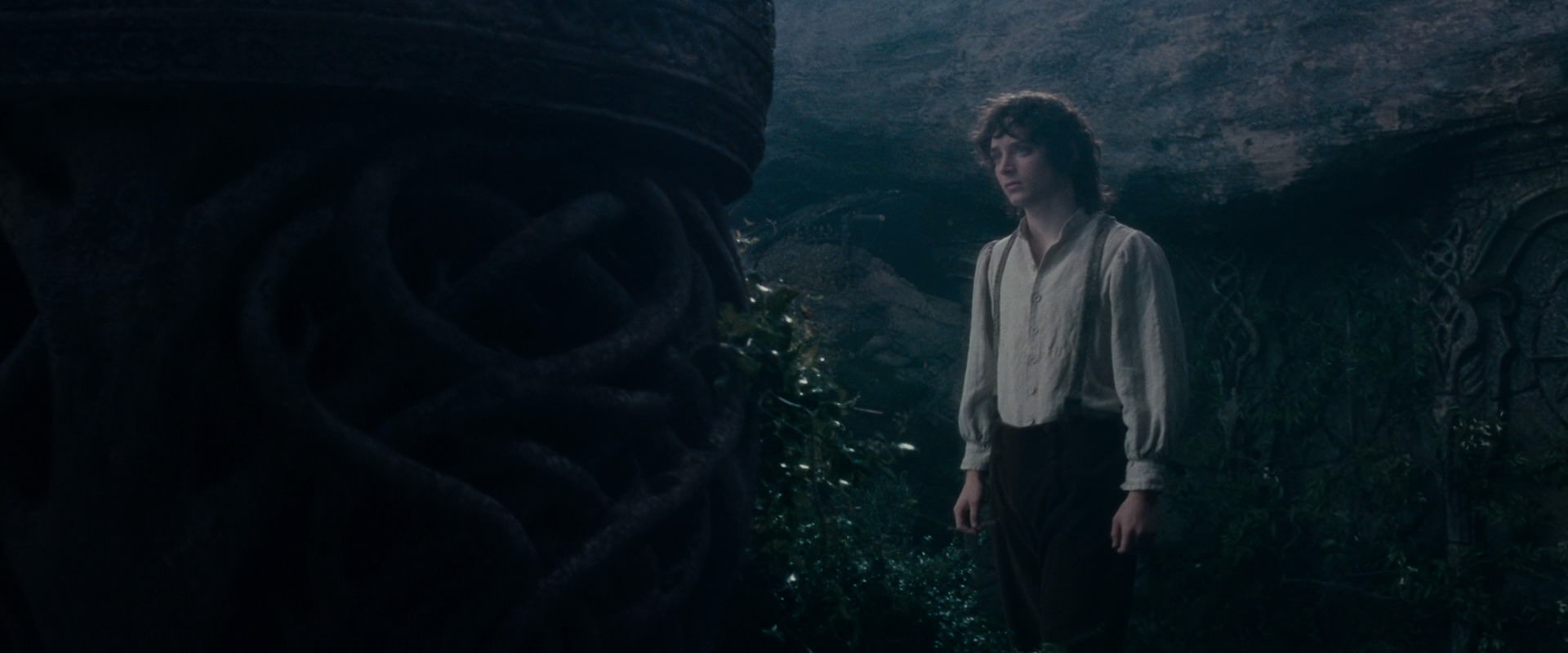 The Lord of the Rings: The Fellowship of the Ring (2001) movie still 19183
