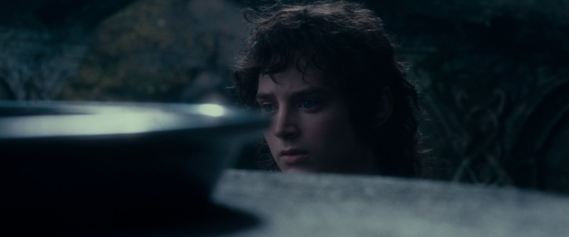 The Lord of the Rings: The Fellowship of the Ring (2001) screencap 19191