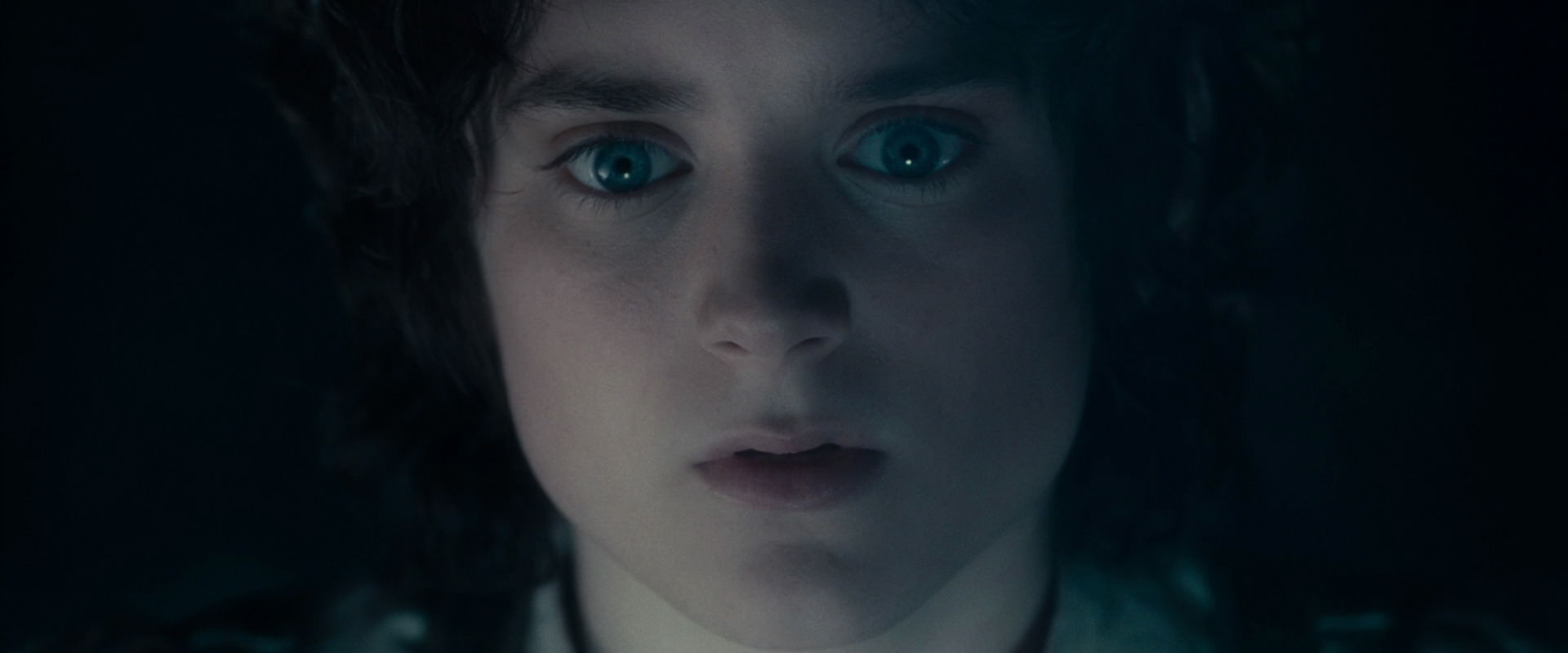 The Lord of the Rings: The Fellowship of the Ring (2001) screencap 19224