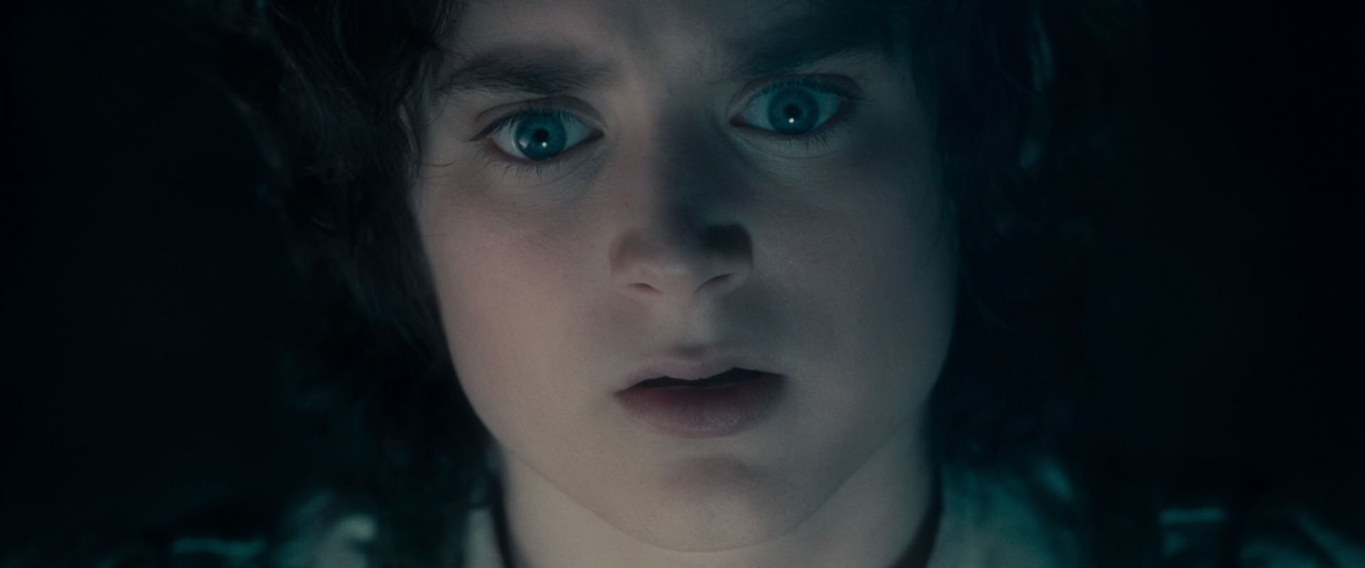 The Lord of the Rings: The Fellowship of the Ring (2001) HD screenshot 19238