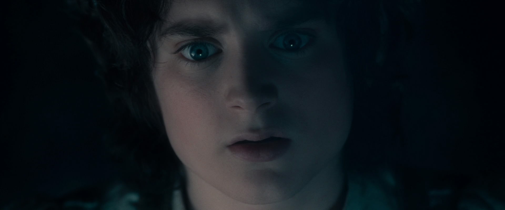 The Lord of the Rings: The Fellowship of the Ring (2001) screencap 19239
