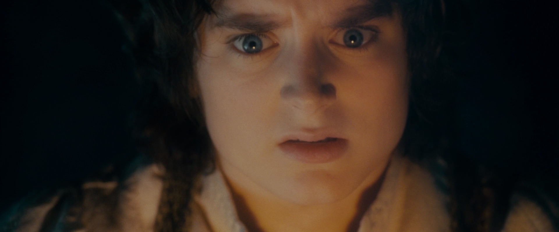 The Lord of the Rings: The Fellowship of the Ring (2001) screencap 19266