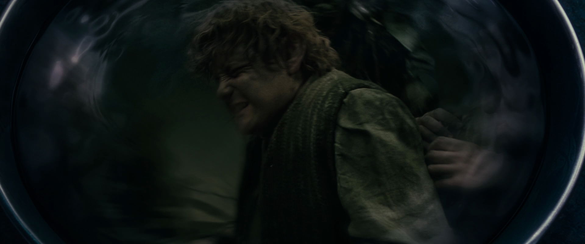 The Lord of the Rings: The Fellowship of the Ring (2001) screencap 19281
