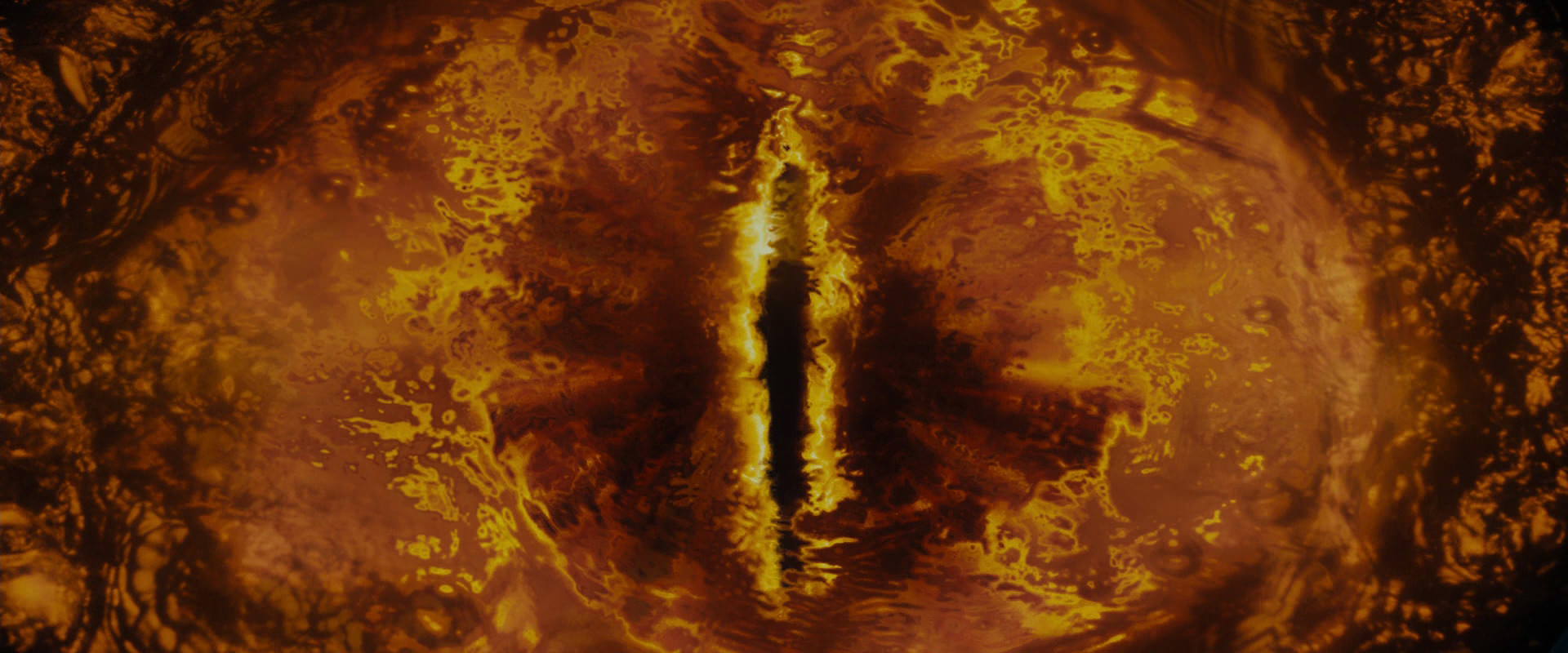 The Lord of the Rings: The Fellowship of the Ring (2001) movie still 19297