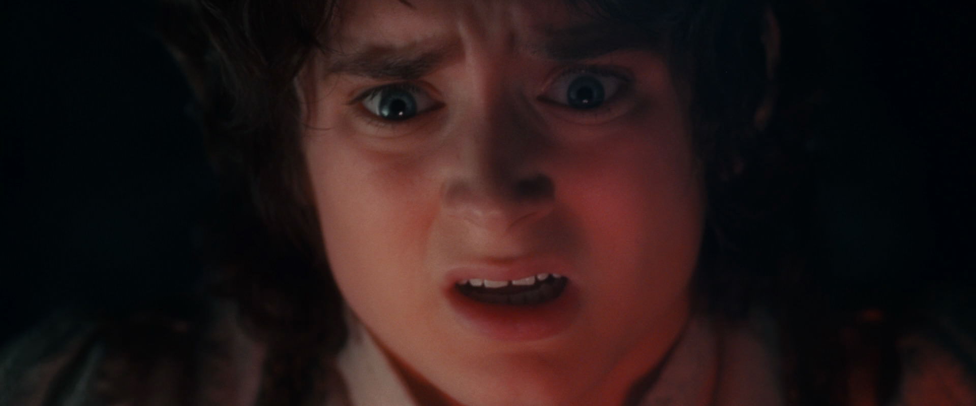 The Lord of the Rings: The Fellowship of the Ring (2001) screencap 19299