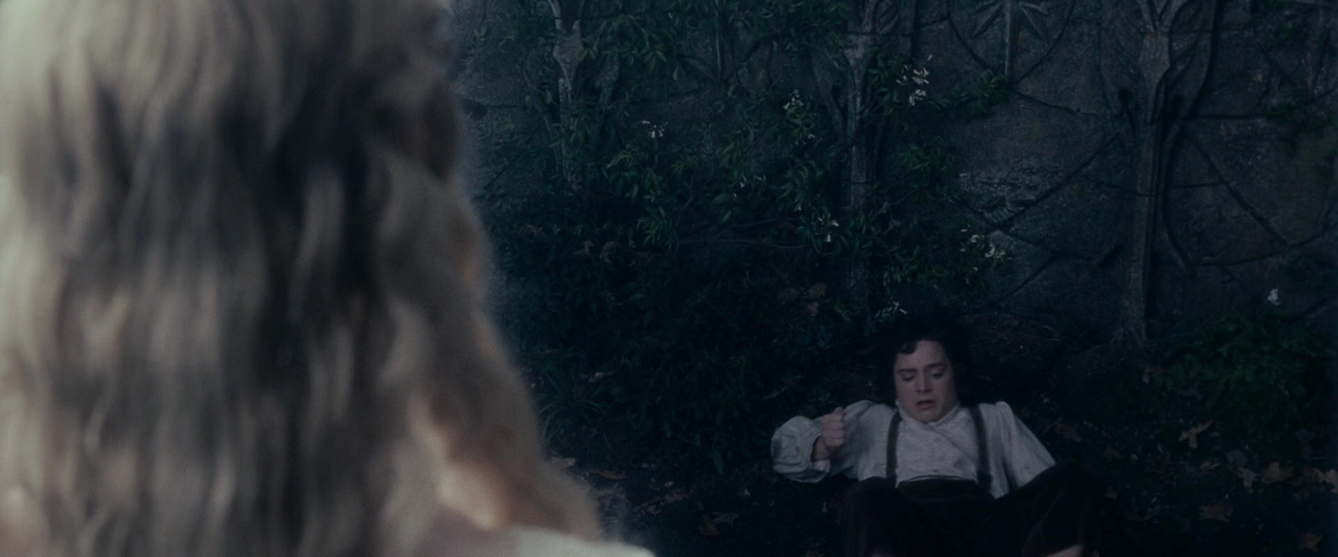 The Lord of the Rings: The Fellowship of the Ring (2001) HD screenshot 19325