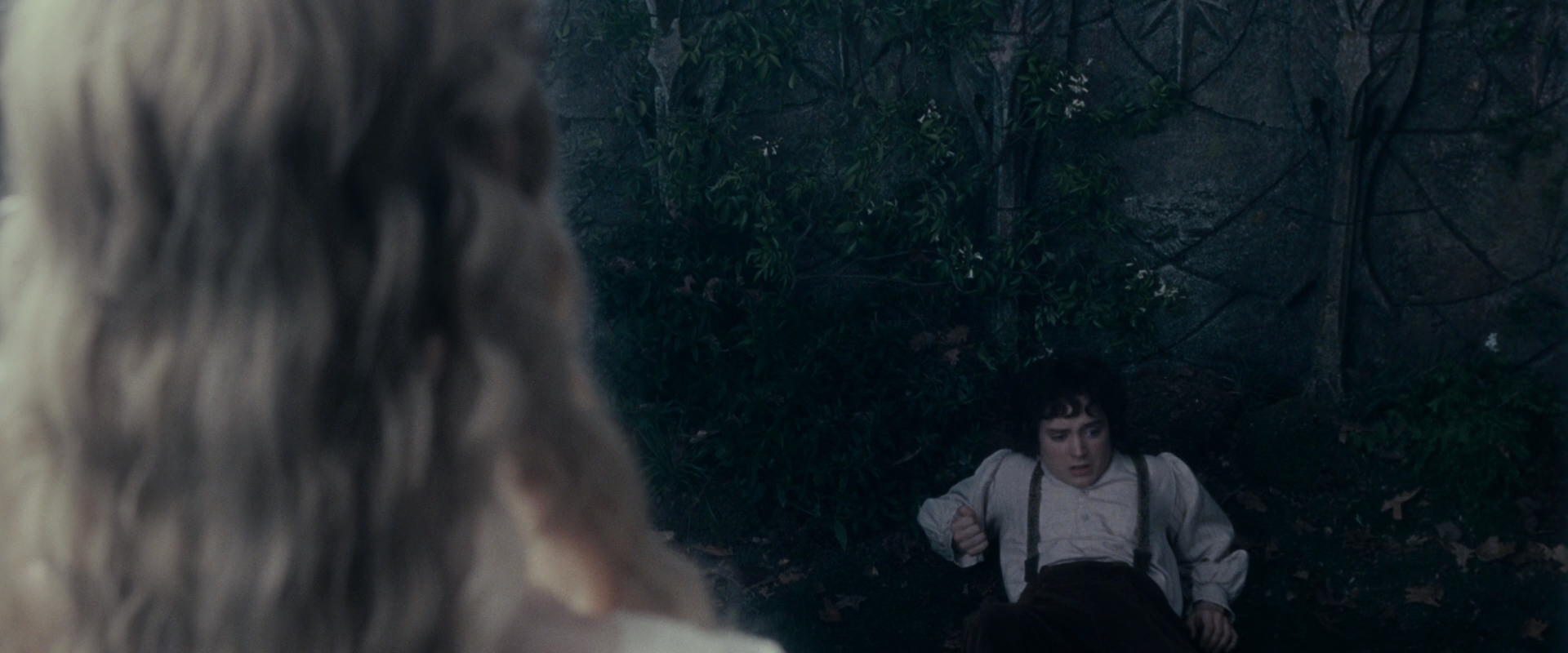 The Lord of the Rings: The Fellowship of the Ring (2001) screencap 19326