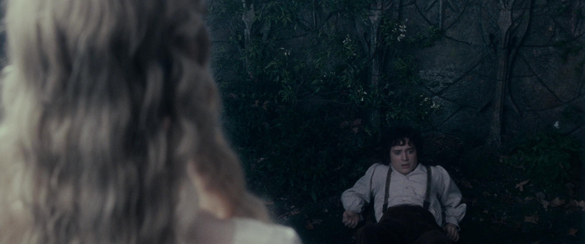 The Lord of the Rings: The Fellowship of the Ring (2001) movie still 19327