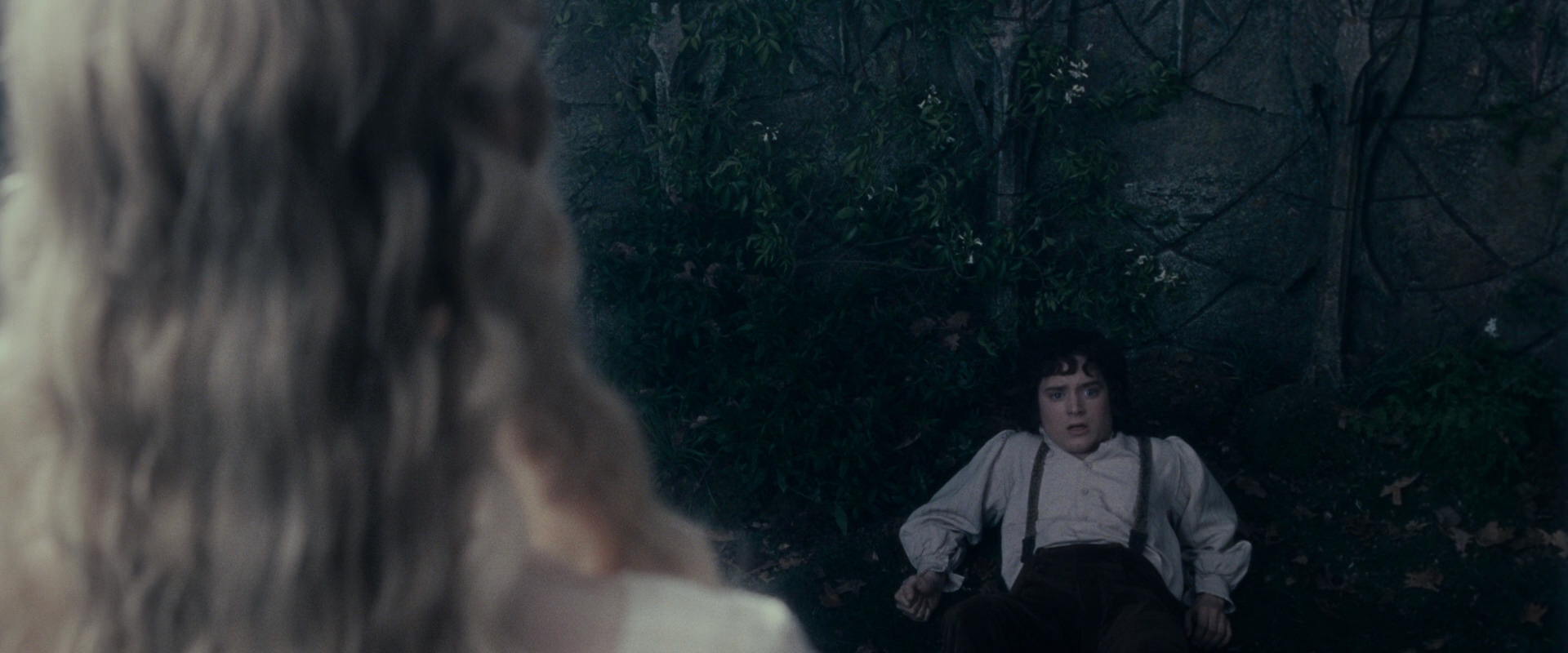The Lord of the Rings: The Fellowship of the Ring (2001) screencap 19329