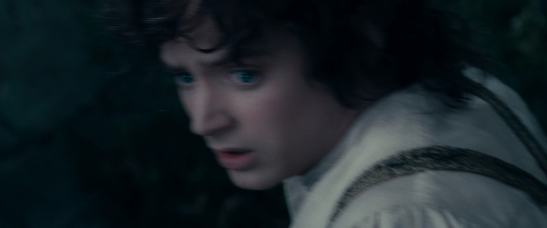 The Lord of the Rings: The Fellowship of the Ring (2001) screencap 19338