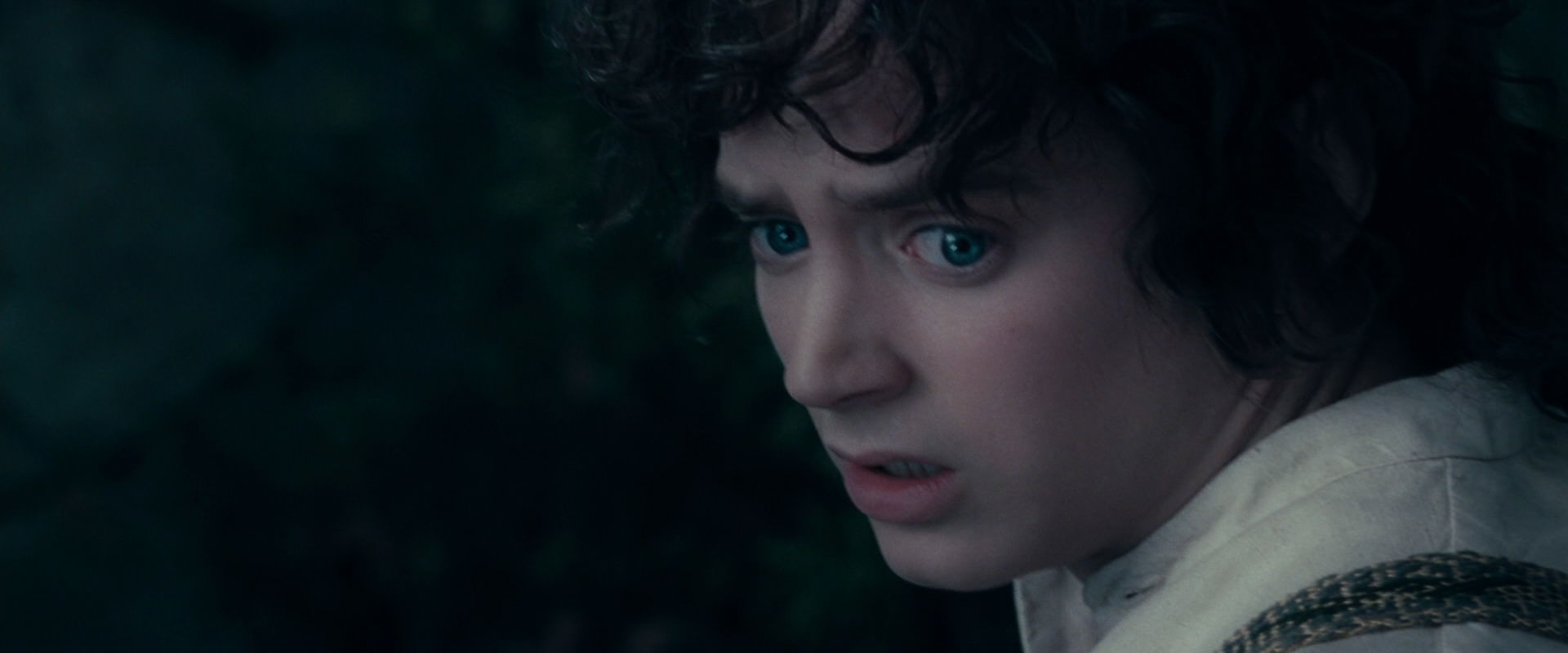 The Lord of the Rings: The Fellowship of the Ring (2001) movie still 19339