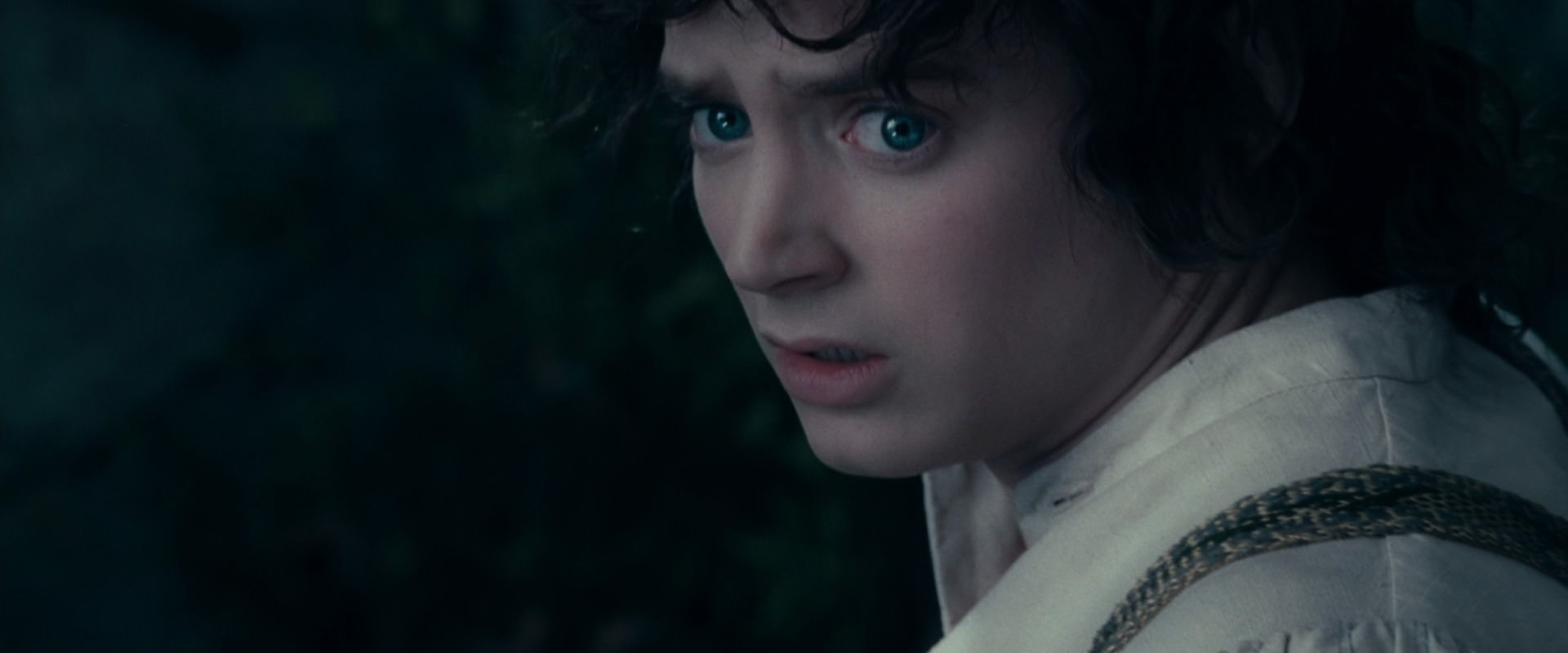 The Lord of the Rings: The Fellowship of the Ring (2001) HD screenshot 19340