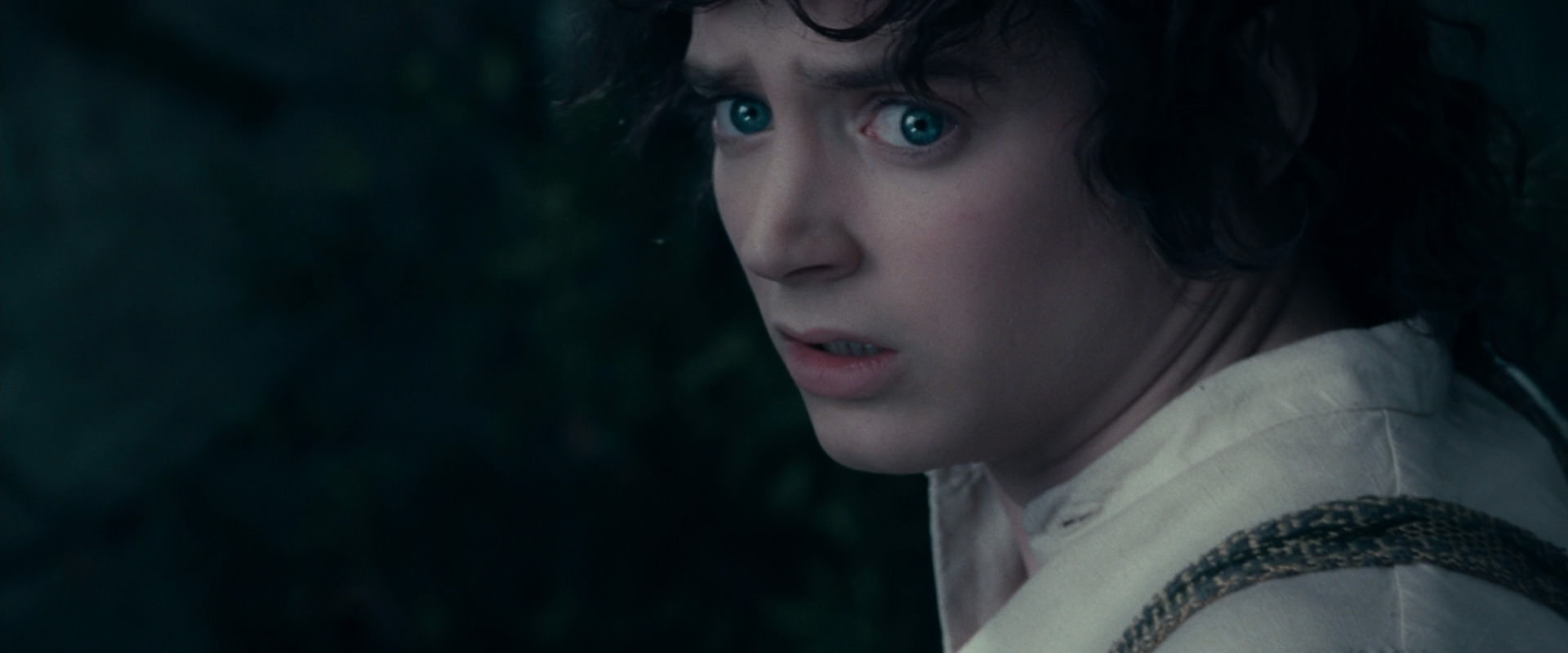 The Lord of the Rings: The Fellowship of the Ring (2001) screencap 19341
