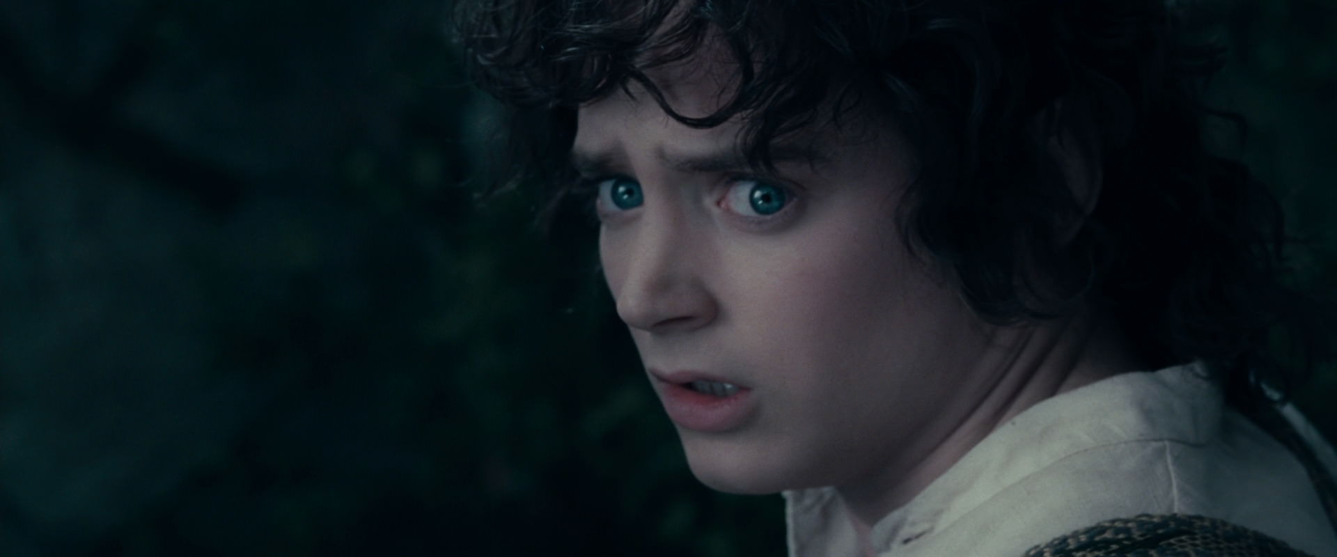 The Lord of the Rings: The Fellowship of the Ring (2001) HD screenshot 19349