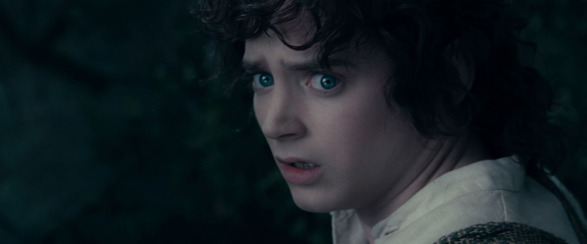 The Lord of the Rings: The Fellowship of the Ring (2001) screencap 19350
