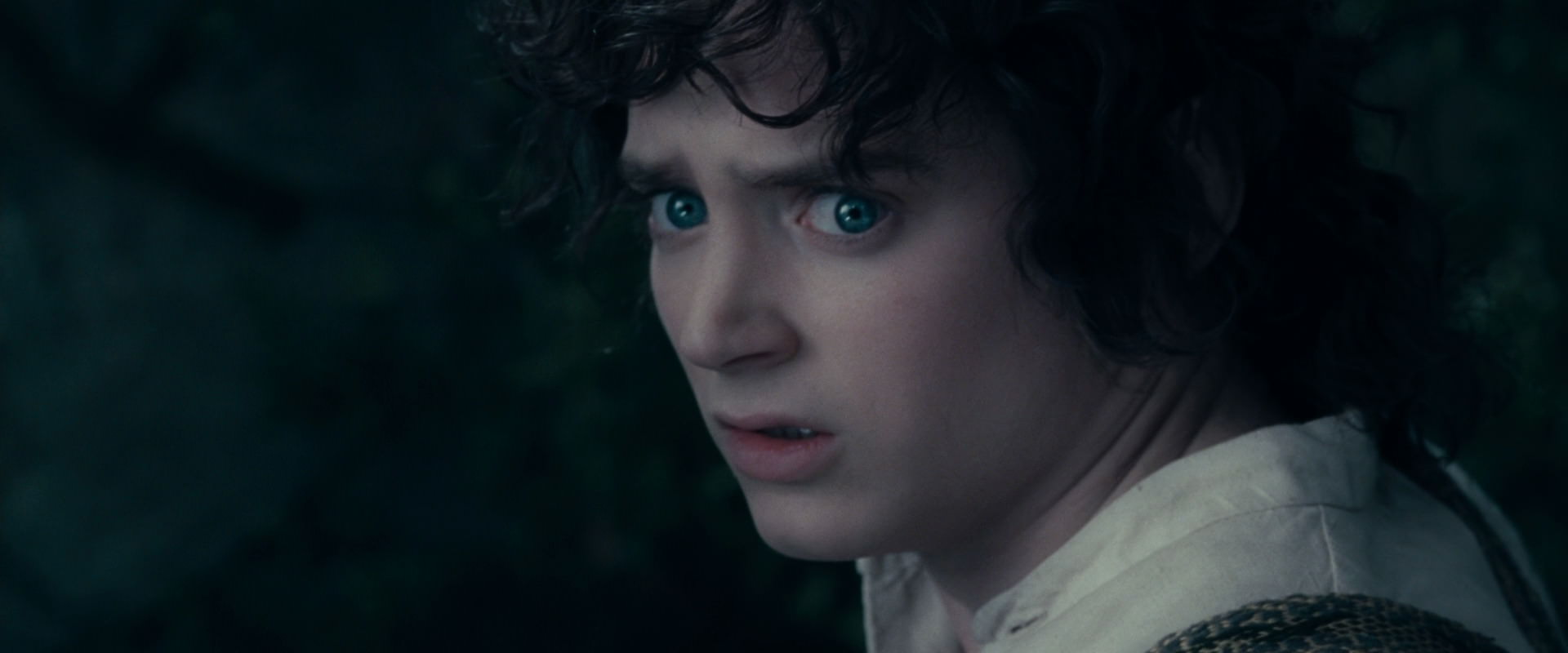 The Lord of the Rings: The Fellowship of the Ring (2001) movie still 19351