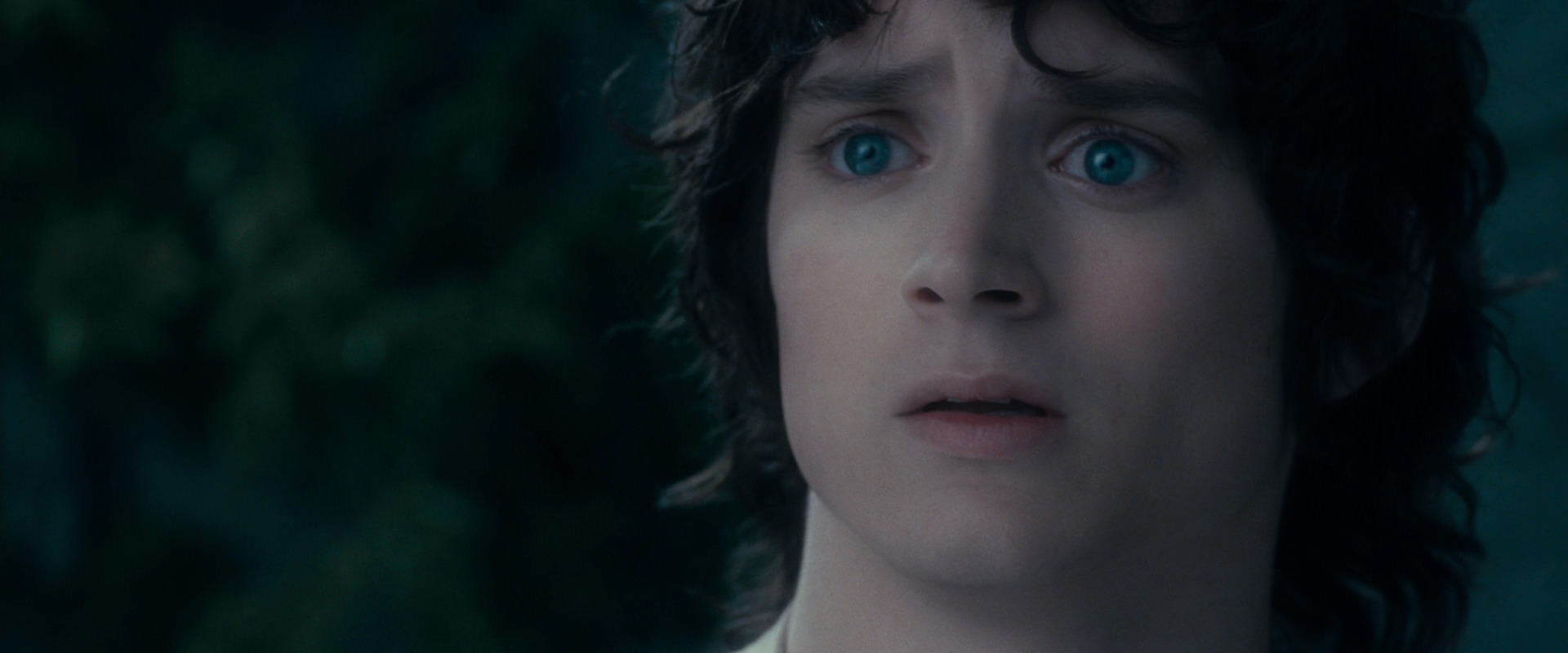The Lord of the Rings: The Fellowship of the Ring (2001) HD screenshot 19361